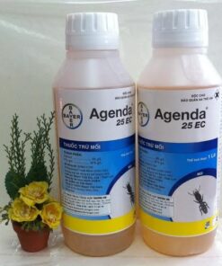 Thuốc Diệt Mối Agenda