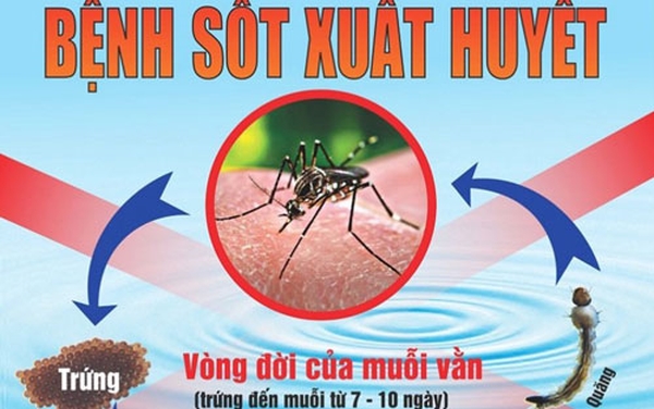 bệnh sốt xuất huyết