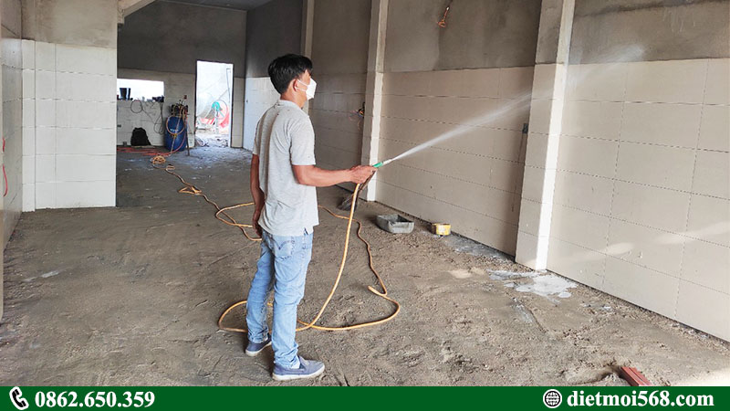 Dịch vụ phòng chống mối nền móng