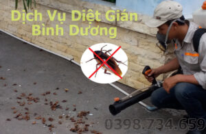 dịch vụ diệt gián tại bình dương
