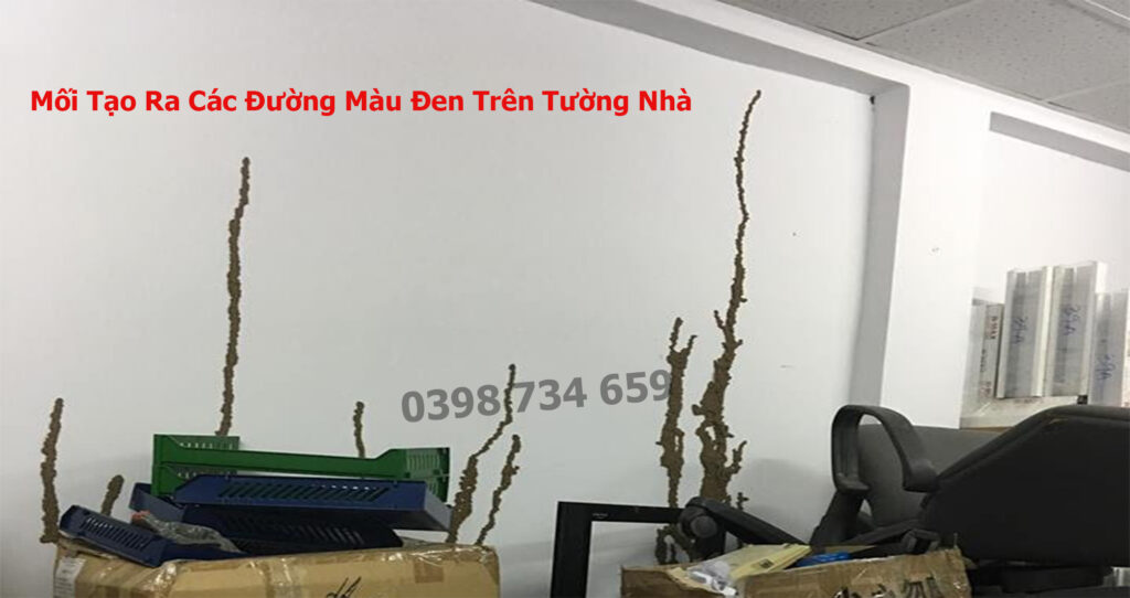 nhận biết tổ mối tại nhà