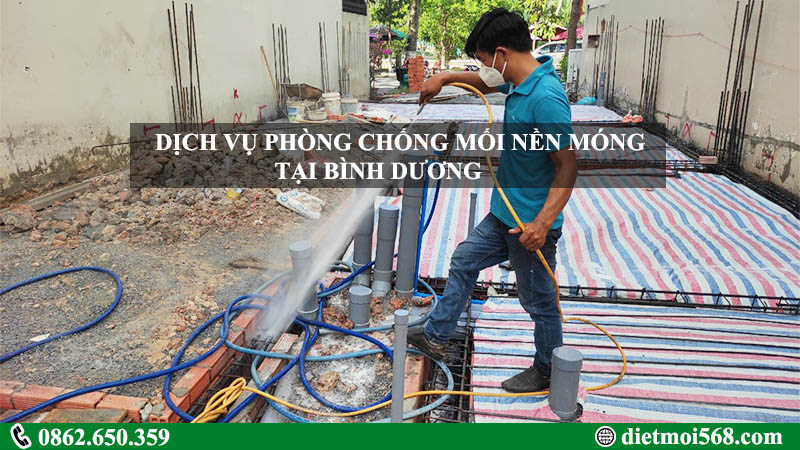 Phòng chống mối nền móng công trình