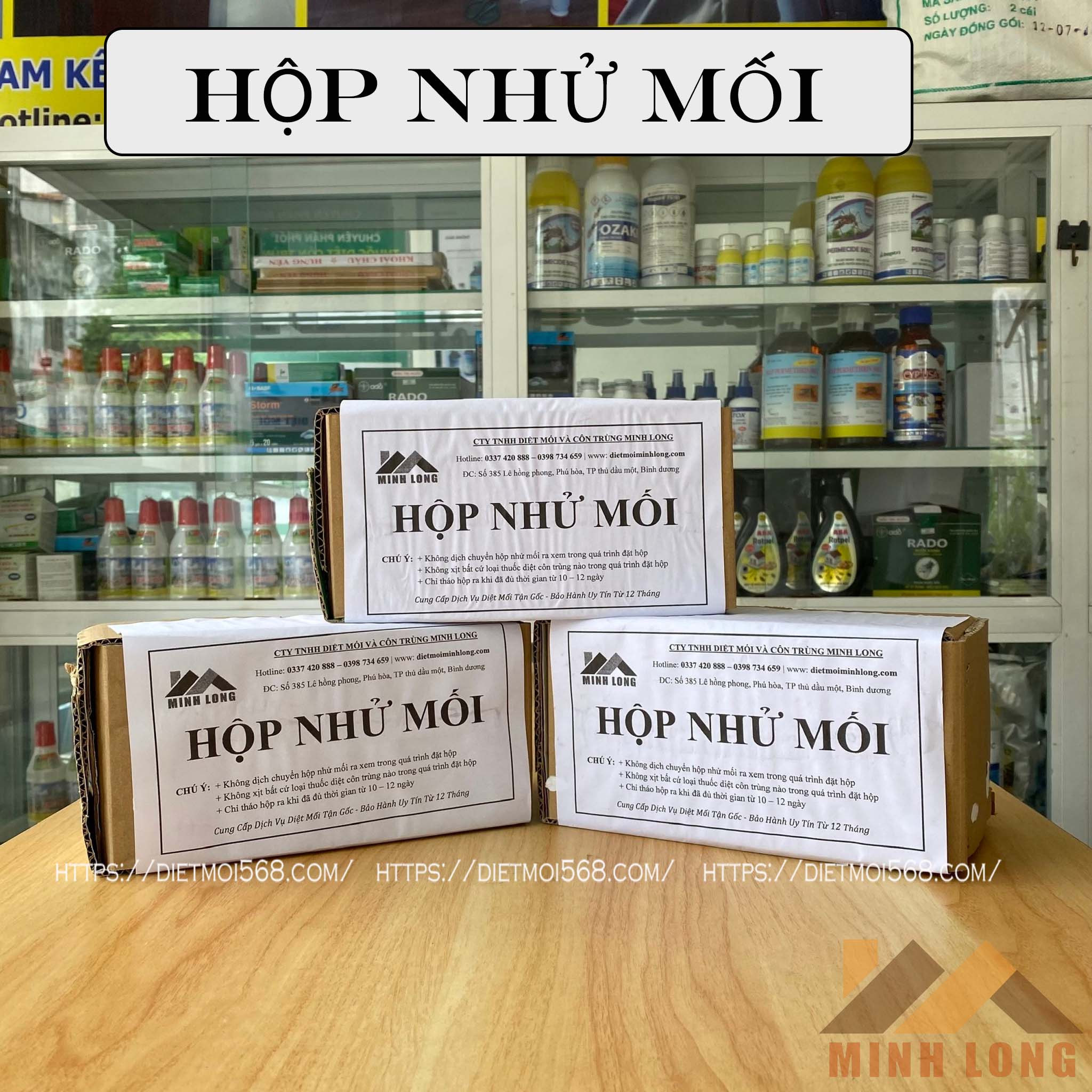Hộp nhử mối