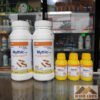 thuốc diệt mối mythic 240sc chai 1 lít