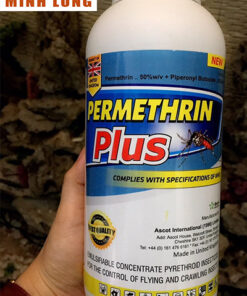 thuốc diệt muỗi và côn trùng permethrin plus