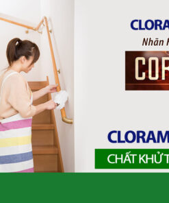 Bột khử khuẩn Cloramin B tiệp 1kg