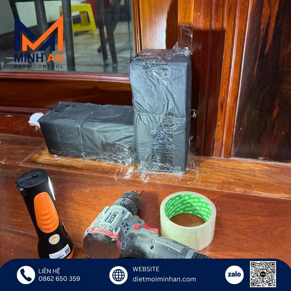 Đặt hộp nhử mối sinh học