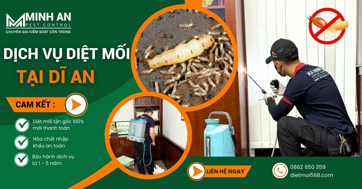 Diệt Mối Tận Gốc Tại Dĩ An
