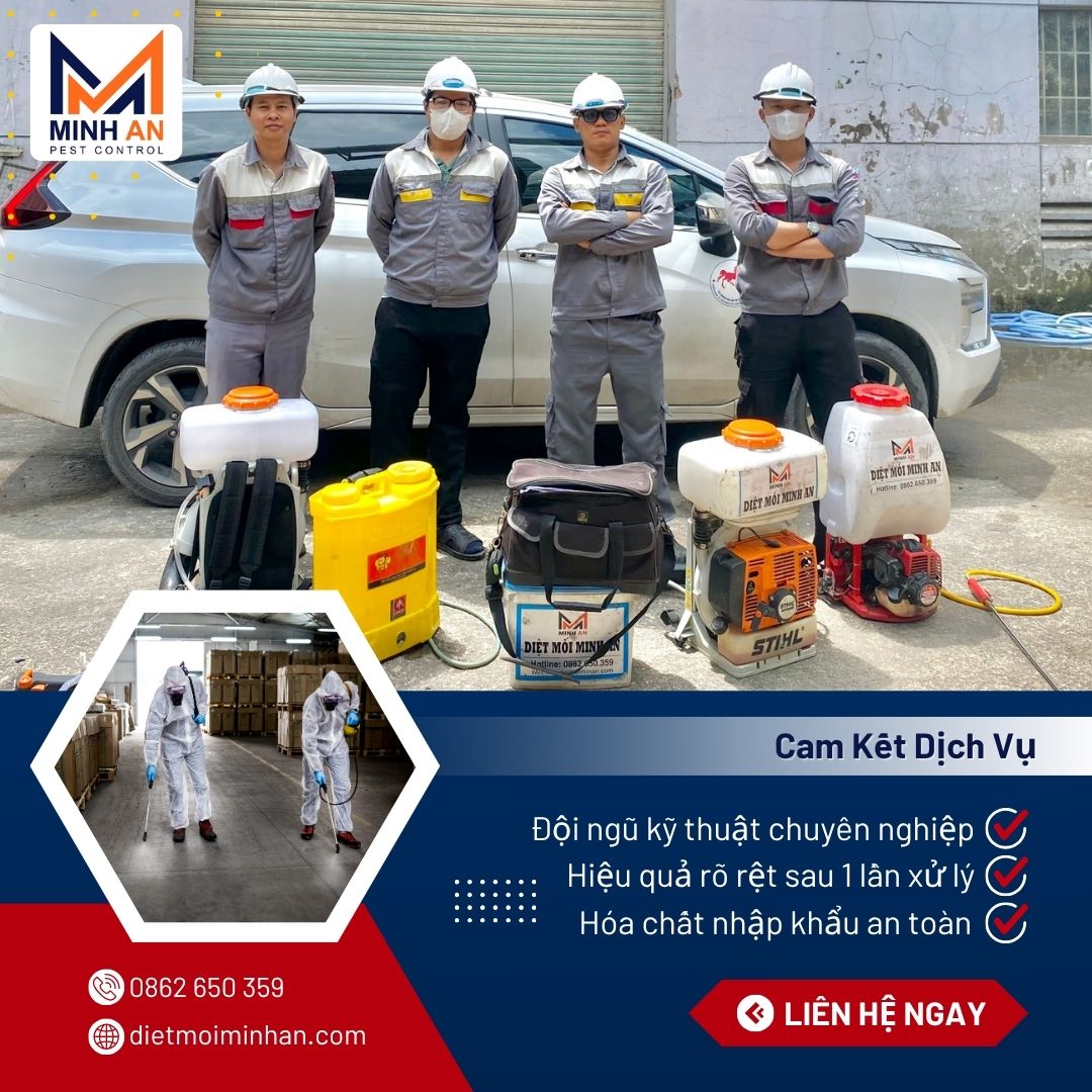 ưu điểm dịch vụ diệt mối Minh An