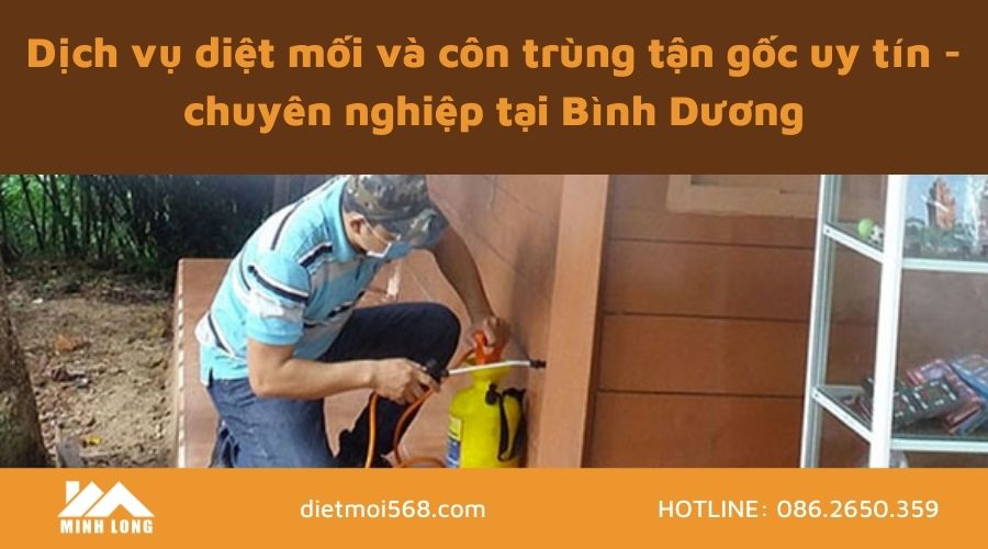 cong-ty-diet-moi-va-con-trung-tai-binh-duong