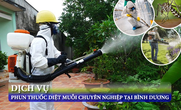 Dịch vụ phun thuốc diệt muỗi chuyên nghiệp tại Bình Dương