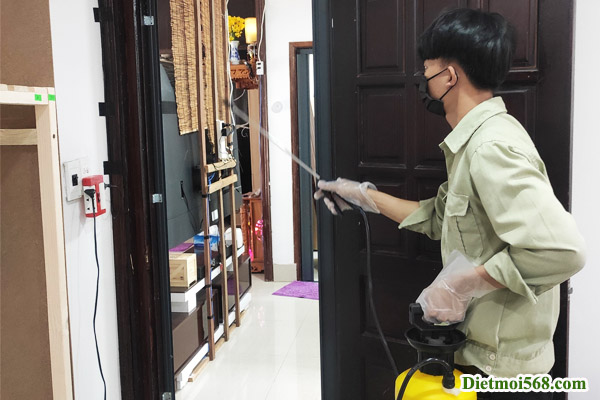 Phun thuốc phòng chống mối