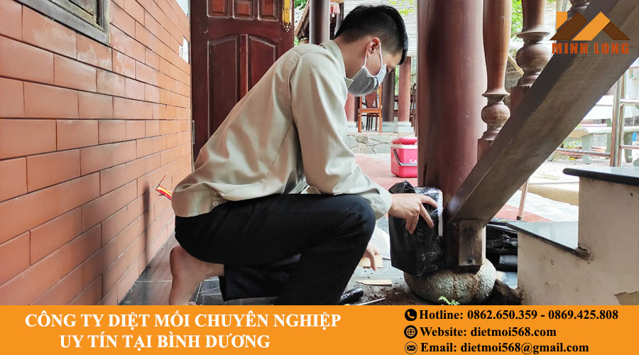 Dịch vụ diệt mối uy tín tại Bình Dương