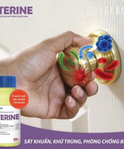 Thuốc khử khuẩn Sterine