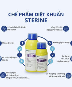 Sterine khử khuẩn 1 lít