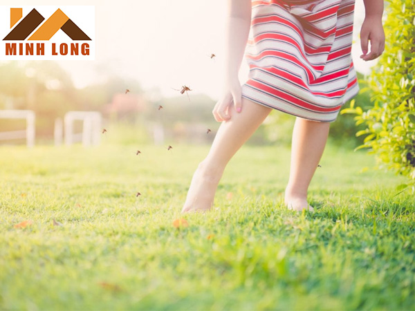 Dịch vụ diệt muỗi tại Bình Dương