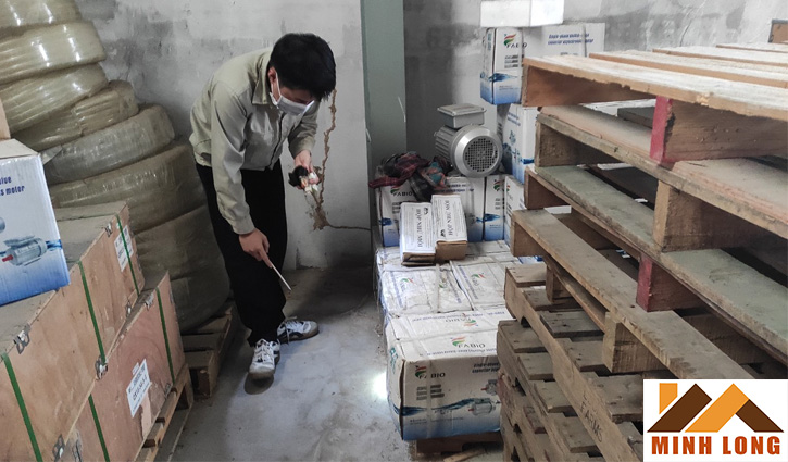 diệt mối tận gốc tại tphcm