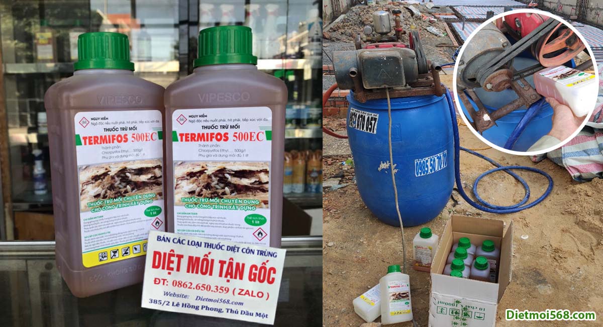 Thuốc phòng chống mối công trình xây dựng