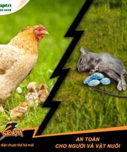 Storm - thuốc diệt chuột cực mạnh