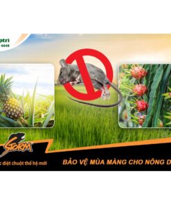 Thuốc diệt chuột cực mạnh Storm