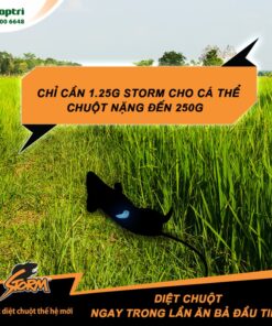Thuốc diệt chuột thế hệ mới Storm 1kg