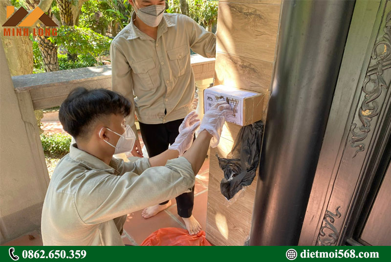 Dịch vụ diệt mối tại nhà ở Bình Dương