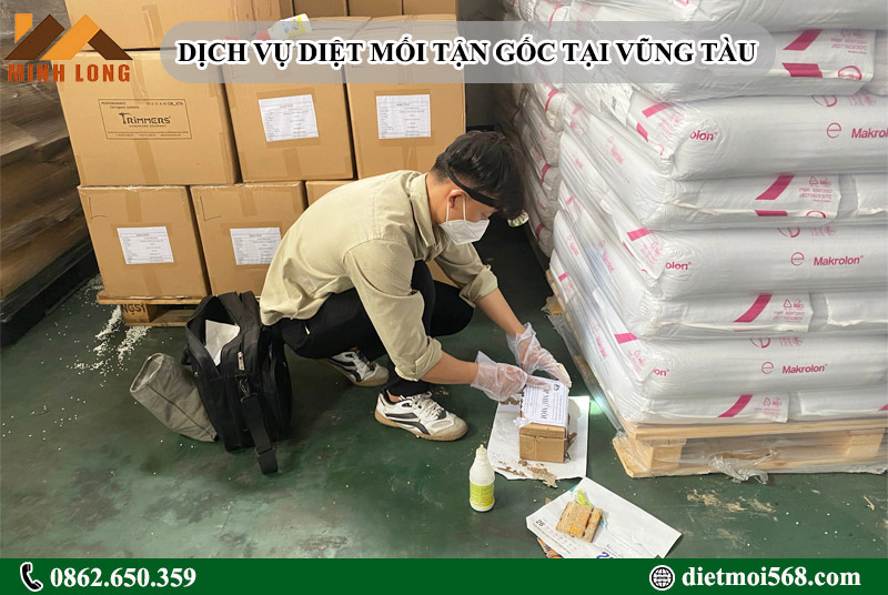 Dịch vụ diệt mối tại Vũng Tàu