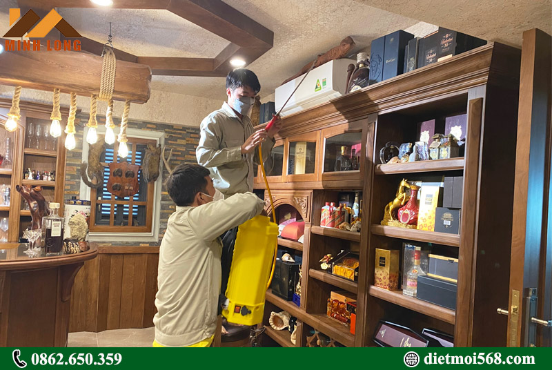 Diệt mối Vũng Tàu