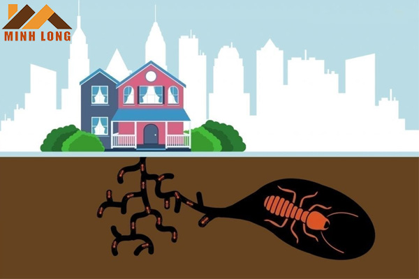 Tác hại của mối