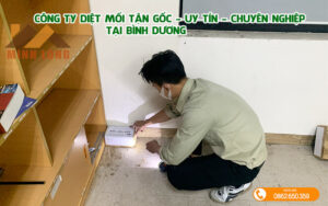 Công ty diệt mối tận gốc
