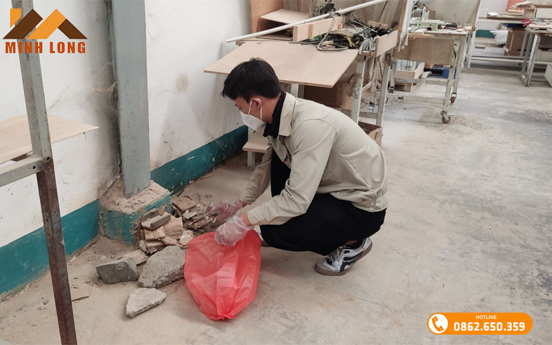 Diệt mối tận gốc Bình Dương