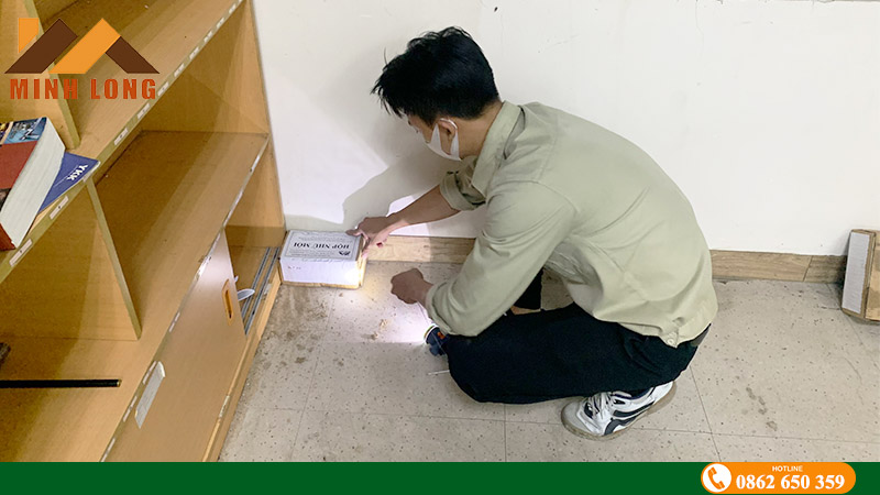 Đặt hộp nhử mối