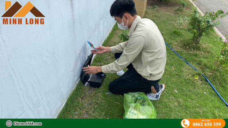 cách diệt chuột tại nhà