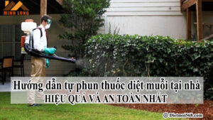 Hướng dẫn tự phun thuốc diệt muỗi tại nhà