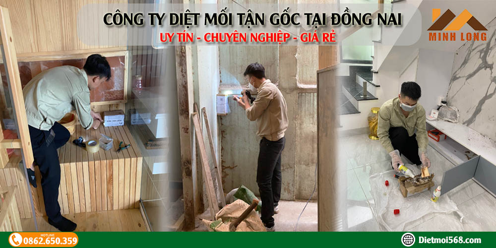 Công ty diệt mối tận gốc tại Đồng Nai