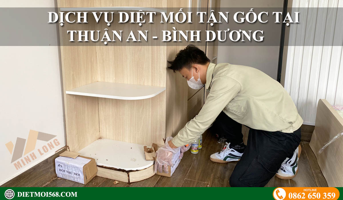 Dịch vụ diệt mối tại thuận An