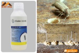 thuốc diệt mọt gỗ tốt nhất
