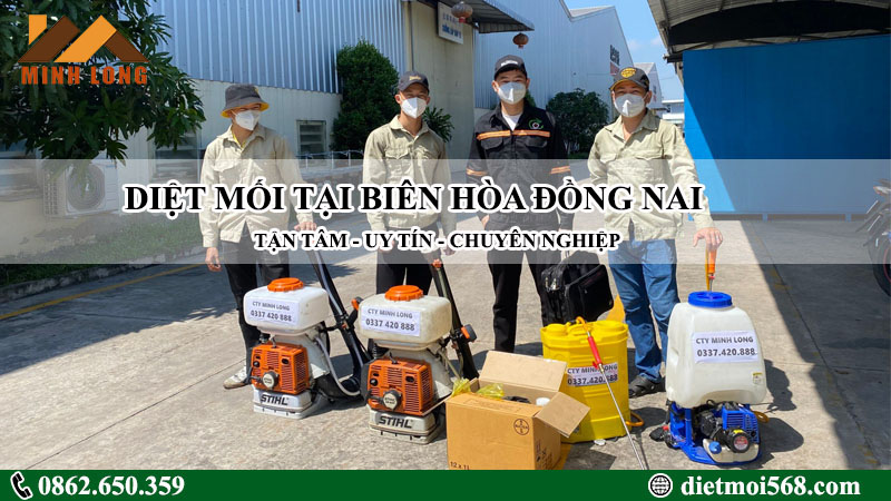 diệt mối tại biên hòa đồng nai