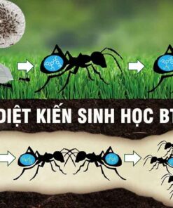 Bả diệt kiến BTK