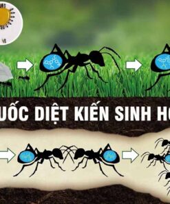 thuoc-diet-kien-sinh-hoc