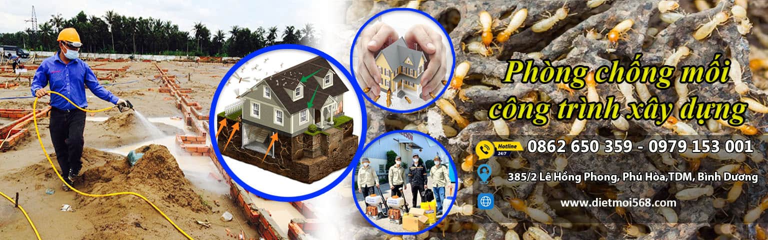 Baner diệt mối tại bình dương