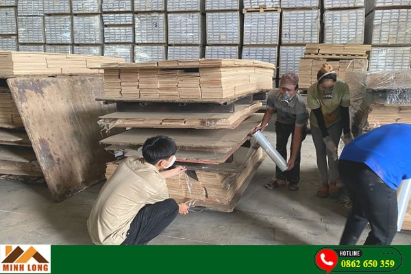 Công ty diệt mọt tại Bình Dương