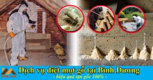 Dịch vụ diệt mọt gỗ tại Bình Dương