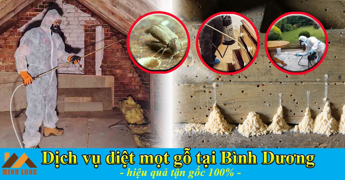 Dịch vụ diệt mọt gỗ tại Bình Dương