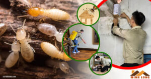 Diệt mối tại huyện Long Thành