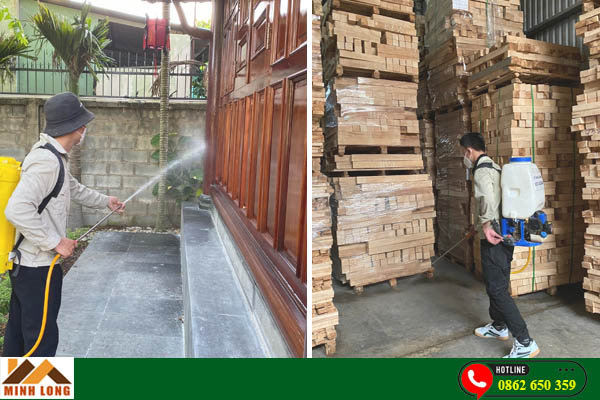 Phun phòng chống mọt