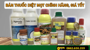 bán thuốc diệt mọt
