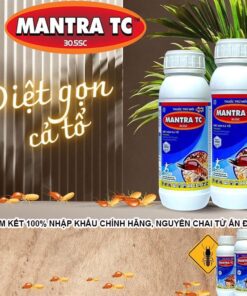 Thuốc diệt mối mantra tc