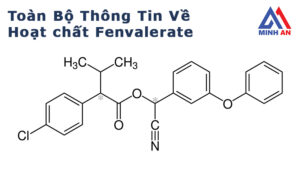Hoạt chất Fenvalerate