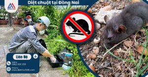 Diệt chuột tại Đồng Nai